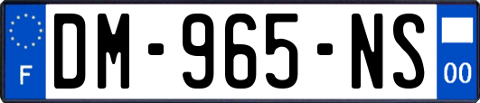 DM-965-NS