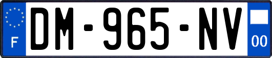 DM-965-NV
