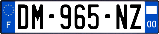 DM-965-NZ