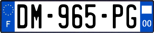 DM-965-PG