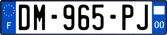 DM-965-PJ