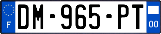 DM-965-PT