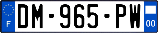 DM-965-PW