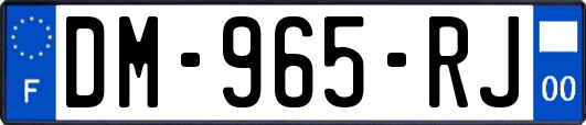 DM-965-RJ