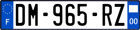 DM-965-RZ