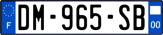 DM-965-SB