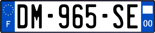 DM-965-SE