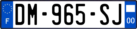 DM-965-SJ