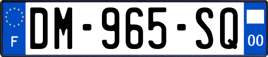DM-965-SQ