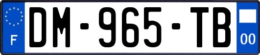 DM-965-TB