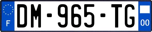 DM-965-TG