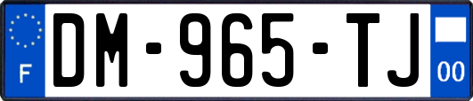 DM-965-TJ