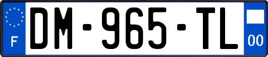 DM-965-TL