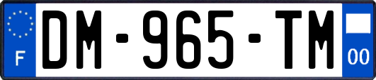 DM-965-TM
