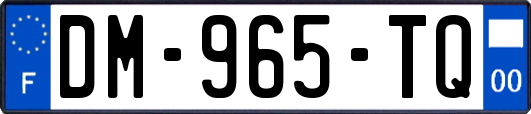 DM-965-TQ