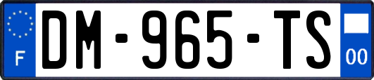 DM-965-TS