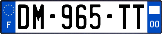 DM-965-TT