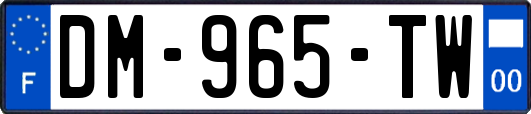 DM-965-TW