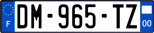 DM-965-TZ