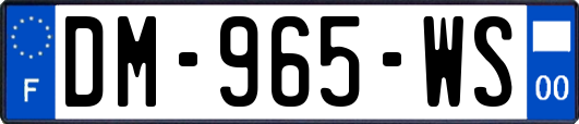 DM-965-WS