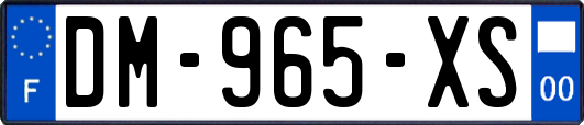 DM-965-XS