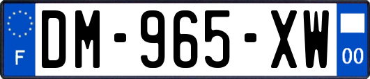 DM-965-XW