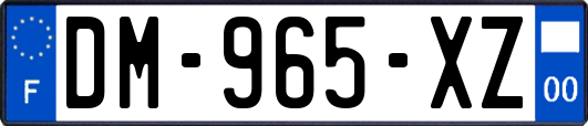 DM-965-XZ