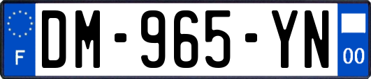 DM-965-YN