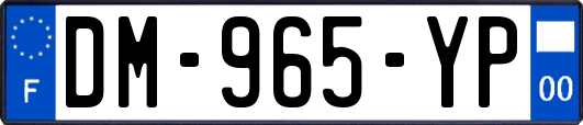 DM-965-YP