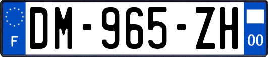 DM-965-ZH