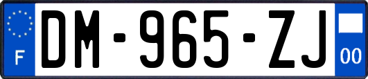 DM-965-ZJ