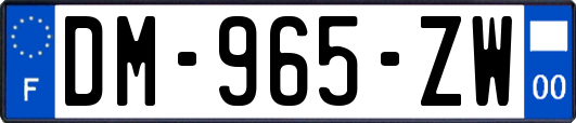 DM-965-ZW