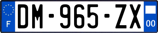 DM-965-ZX