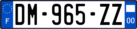 DM-965-ZZ