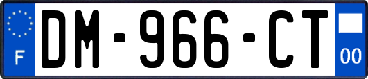 DM-966-CT