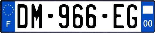 DM-966-EG