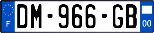 DM-966-GB