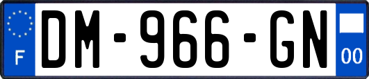 DM-966-GN