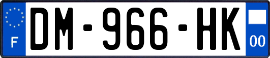 DM-966-HK