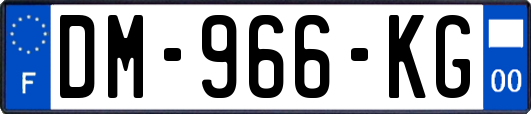 DM-966-KG