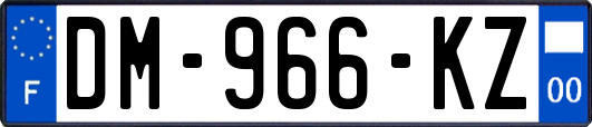 DM-966-KZ