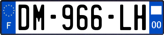DM-966-LH