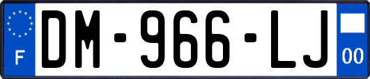 DM-966-LJ
