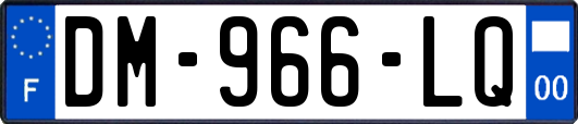 DM-966-LQ