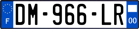 DM-966-LR