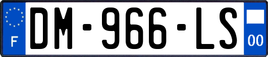 DM-966-LS
