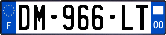 DM-966-LT