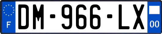 DM-966-LX
