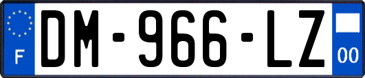 DM-966-LZ