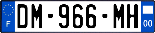 DM-966-MH